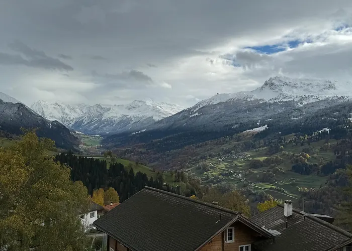 Attic In The Alps